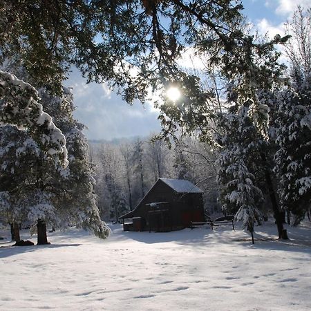 Shadow Mountain Escape Cabin Rentals Luray Exterior foto