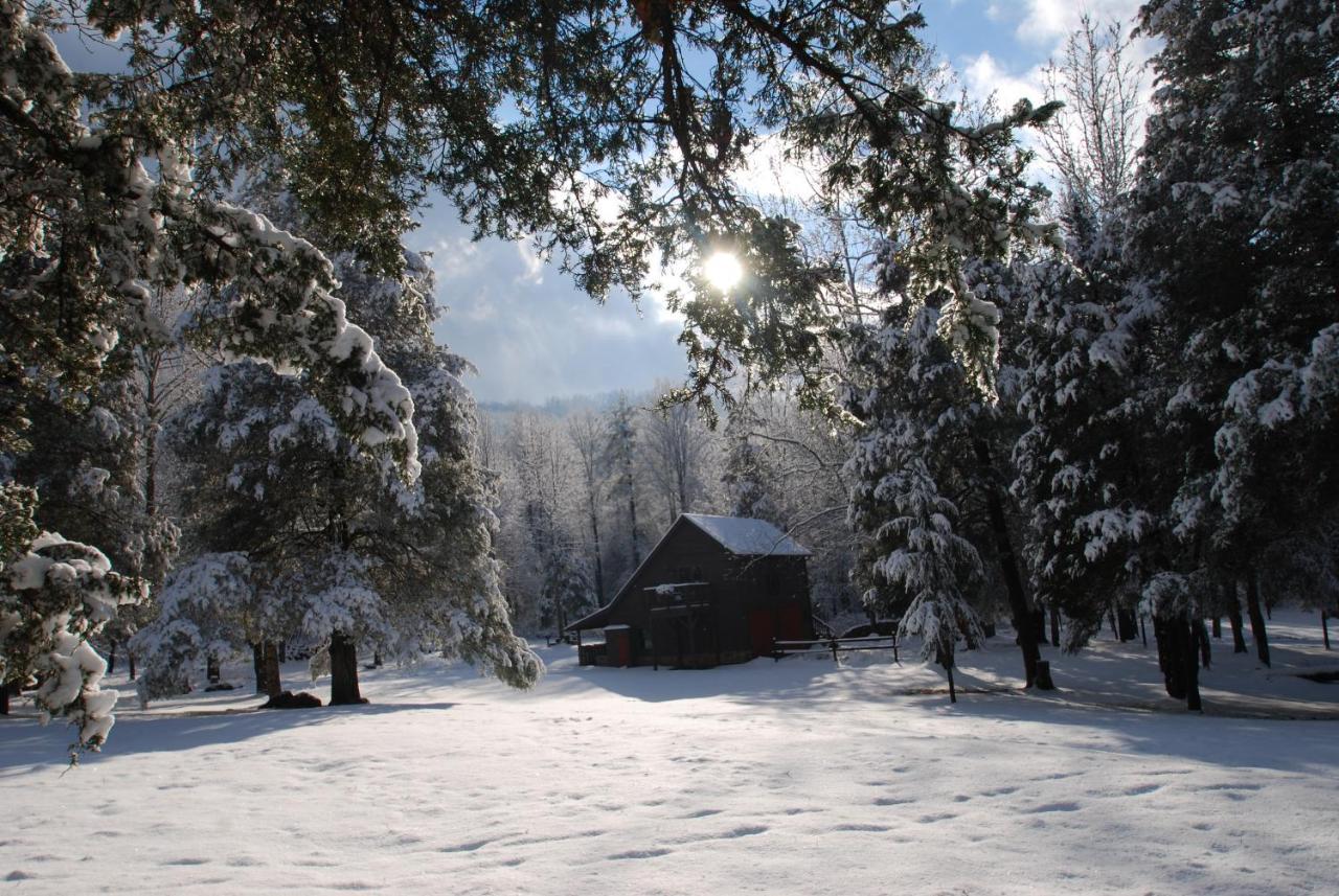 Shadow Mountain Escape Cabin Rentals Luray Exterior foto